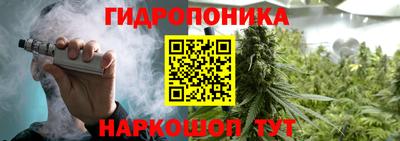 крисы Ачхой-Мартан